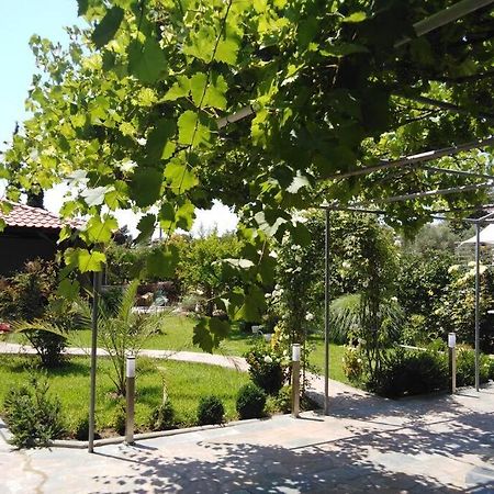 Villa Viktoria Halkidiki Nea Silata 외부 사진