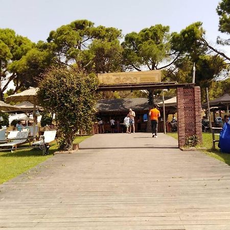 Villa Viktoria Halkidiki Nea Silata 외부 사진