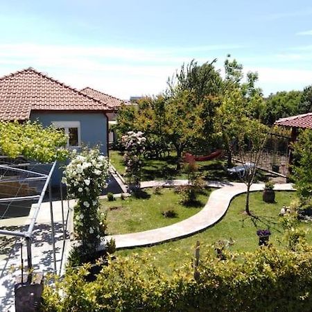 Villa Viktoria Halkidiki Nea Silata 외부 사진