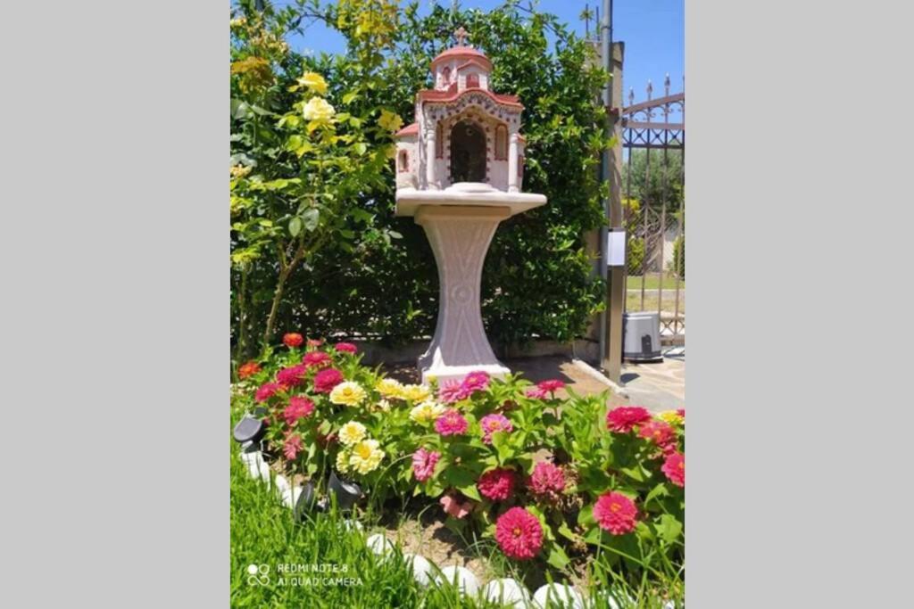 Villa Viktoria Halkidiki Nea Silata 외부 사진