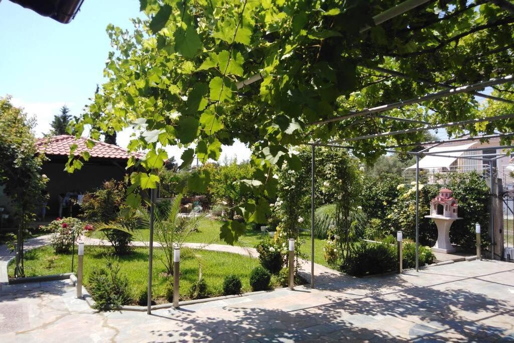 Villa Viktoria Halkidiki Nea Silata 외부 사진