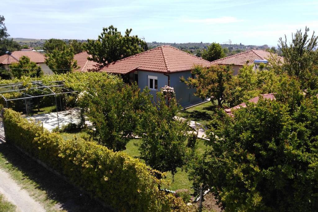 Villa Viktoria Halkidiki Nea Silata 외부 사진