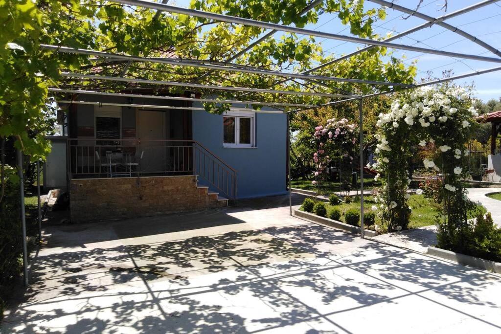 Villa Viktoria Halkidiki Nea Silata 외부 사진