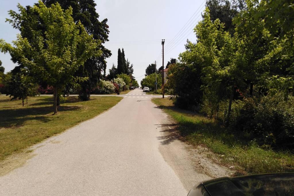 Villa Viktoria Halkidiki Nea Silata 외부 사진