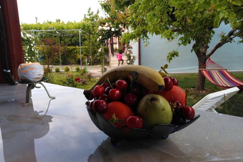 Villa Viktoria Halkidiki Nea Silata 외부 사진