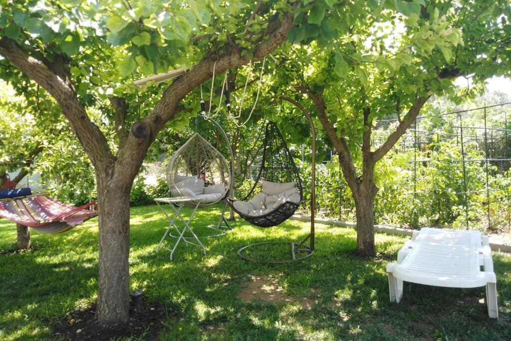 Villa Viktoria Halkidiki Nea Silata 외부 사진