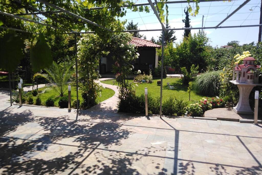 Villa Viktoria Halkidiki Nea Silata 외부 사진