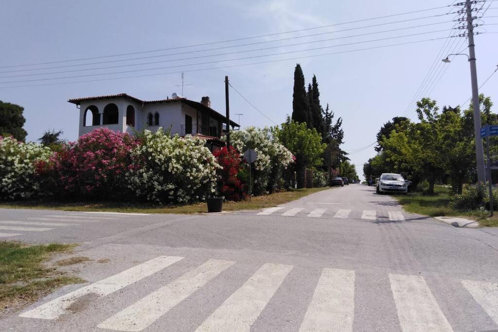 Villa Viktoria Halkidiki Nea Silata 외부 사진