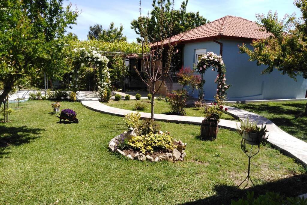 Villa Viktoria Halkidiki Nea Silata 외부 사진