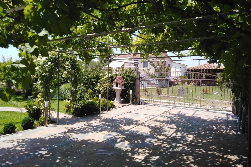 Villa Viktoria Halkidiki Nea Silata 외부 사진